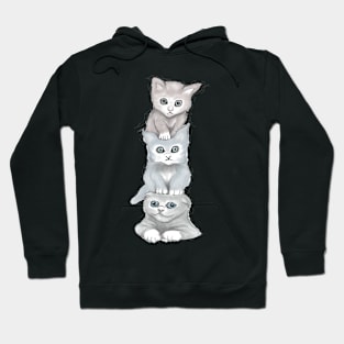 Cat Totem Hoodie